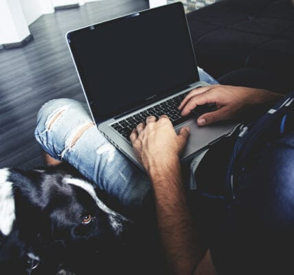 Man types on laptop while dog waits patiently