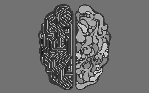 Image of half a human brain and half an artificial brain. Represent Artificial Intelligence. Digitalization.
