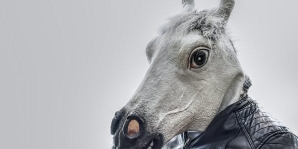 A human wearing a horse head mask